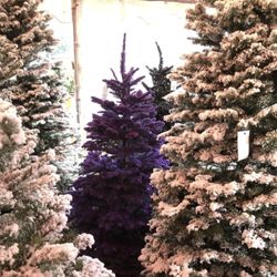 The Great Christmas Tree
