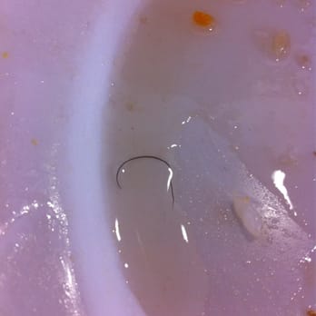 101 Cafe - Hair in the dish - Taiwanese Near Me - Diamond Bar, California 101 Cafe - Hair in the dish - Taiwanese Near Me - Diamond Bar, California