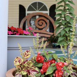 TerraMar Wellness Center - Spring is in the air.