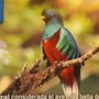 Photo of El Quetzal Grill