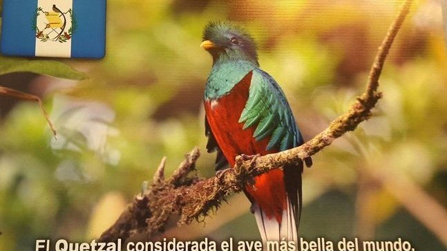 El Quetzal Grill