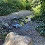 Photo of Dimond Park