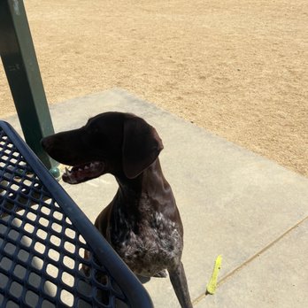 Shoreline Dog Park - My GSP - Dog Parks Near Me - Mountain View, California Shoreline Dog Park - My GSP - Dog Parks Near Me - Mountain View, California