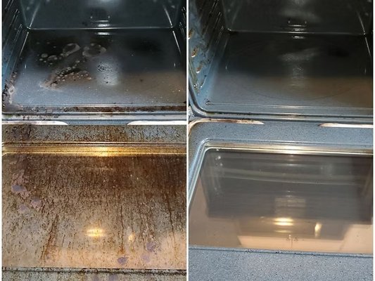 Anna's Pristine Clean