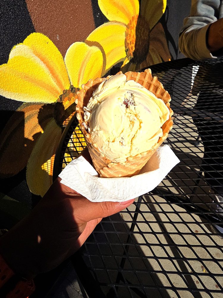 The Downtown Scoop Logo