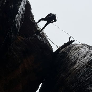 Zion Guru - Repelling - Bike Rentals Near Me - Springdale, Utah Zion Guru - Repelling - Bike Rentals Near Me - Springdale, Utah