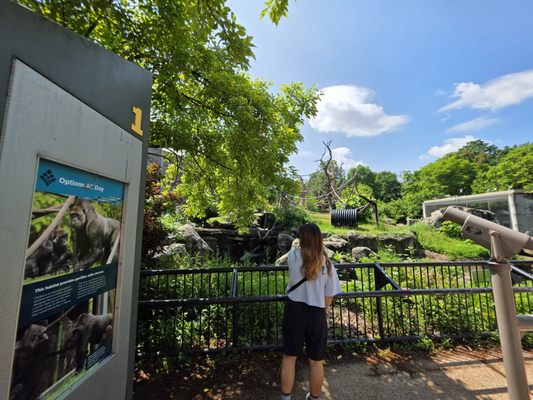 Lincoln Park Zoo by null