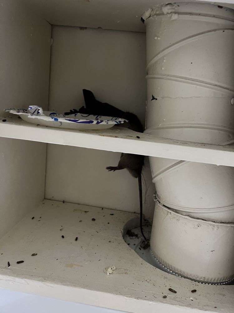 Dunlap & Magee - property management company in Phoenix, AZ