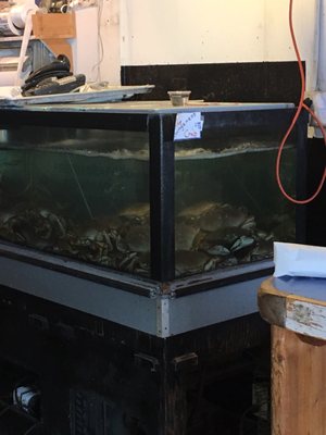 Key City Fish Company by null