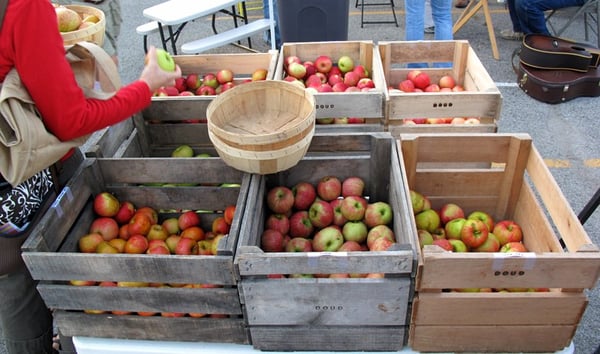 Broad Ripple Farmers Market by null