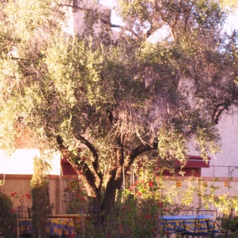 Vincent's On Camelback - Outdoor seating - French Near Me - Phoenix, Arizona Vincent's On Camelback - Outdoor seating - French Near Me - Phoenix, Arizona