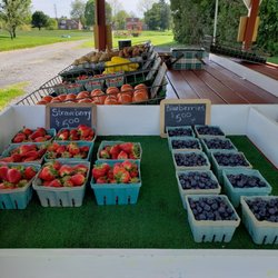 Woodchuck Farm