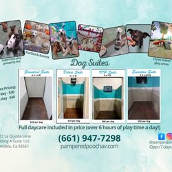 Pampered Pooch Pet Hotel Giftly Beautiful Gift Card Alternative