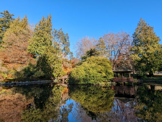 Hatley Castle by null