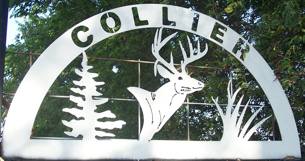 Collier's Shoot-N-Stuff Taxidermy - taxidermy in Delaware, OK