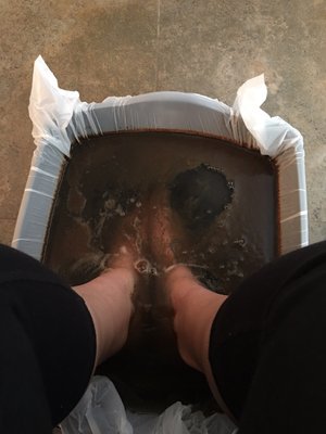 Holistic Health Solutions