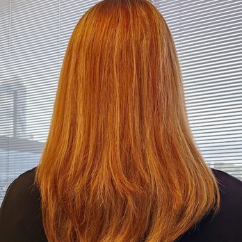 The Cut - Back of a hair cut and dye - Hair Salons Near Me - Shoreline, Washington