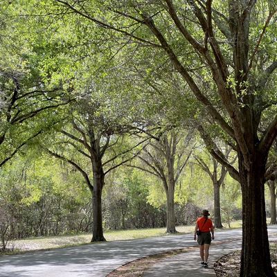 Sawgrass Lake Park by null