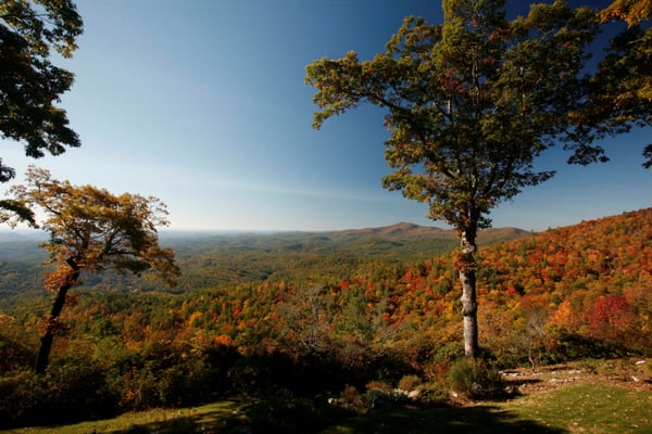 Country Club Properties - Wright Square