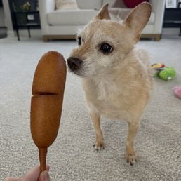 Corndog Corndog