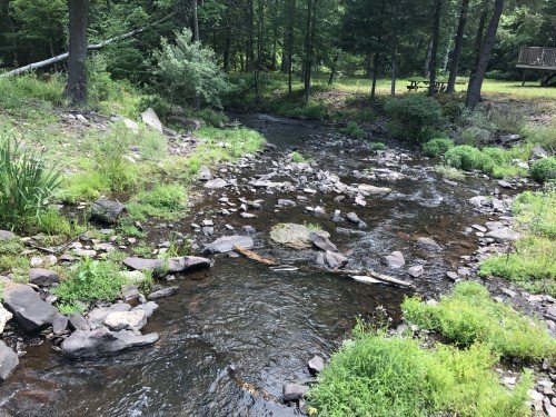 Catalpa Grove at Lakewood Park by null