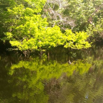 Sea Serpent Tour - Boat Tours Near Me - Saint Augustine, Florida