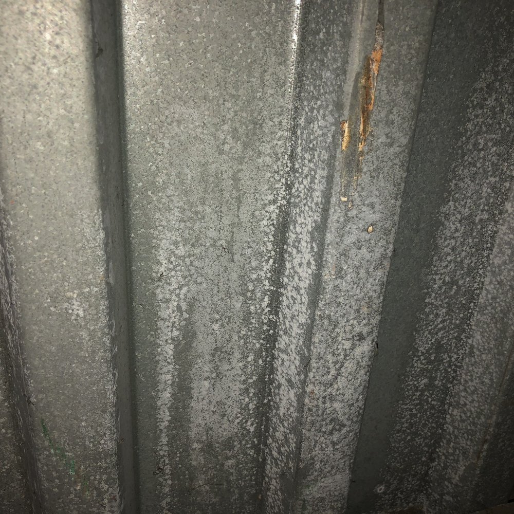 Public Storage - Mold all over the walls - Self Storage Near Me - West Chester, Pennsylvania