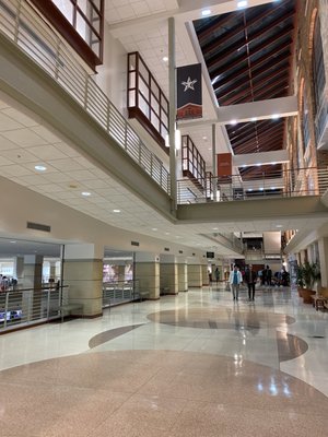 Gregory Gym by null