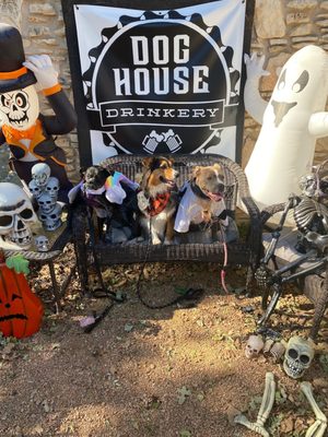 Dog House Drinkery & Dog Park by null