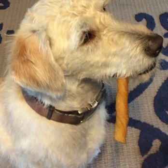 Poshy Paws - Pet Groomers Near Me Poshy Paws - Pet Groomers Near Me