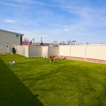 K9 Resorts - Small Dog Yard - Pet Boarding Near Me - Madison, New Jersey