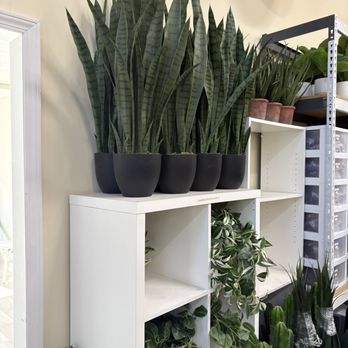 Archive Rentals - Artificial plants - Party Equipment Rentals Near Me - San Clemente, California Archive Rentals - Artificial plants - Party Equipment Rentals Near Me - San Clemente, California