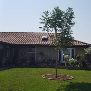 Moon Valley Nurseries - Tree Services Near Me - Irvine, California Moon Valley Nurseries - Tree Services Near Me - Irvine, California