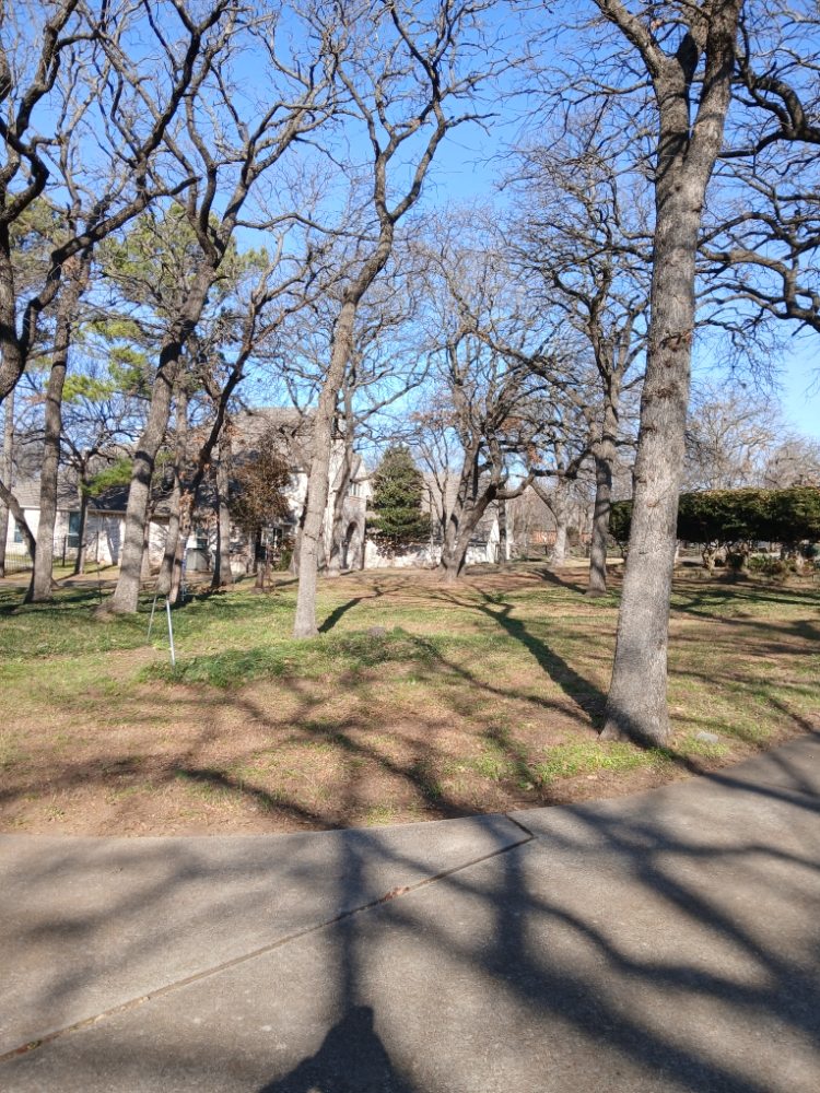 Landscaping Services JM - tree service in Haltom City, TX