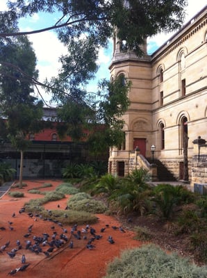 South Australian Museum by null