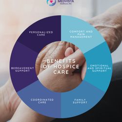 Medvista Healthcare
