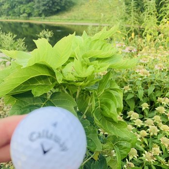 Keller Golf Course - Golf Near Me - Saint Paul, Minnesota Keller Golf Course - Golf Near Me - Saint Paul, Minnesota