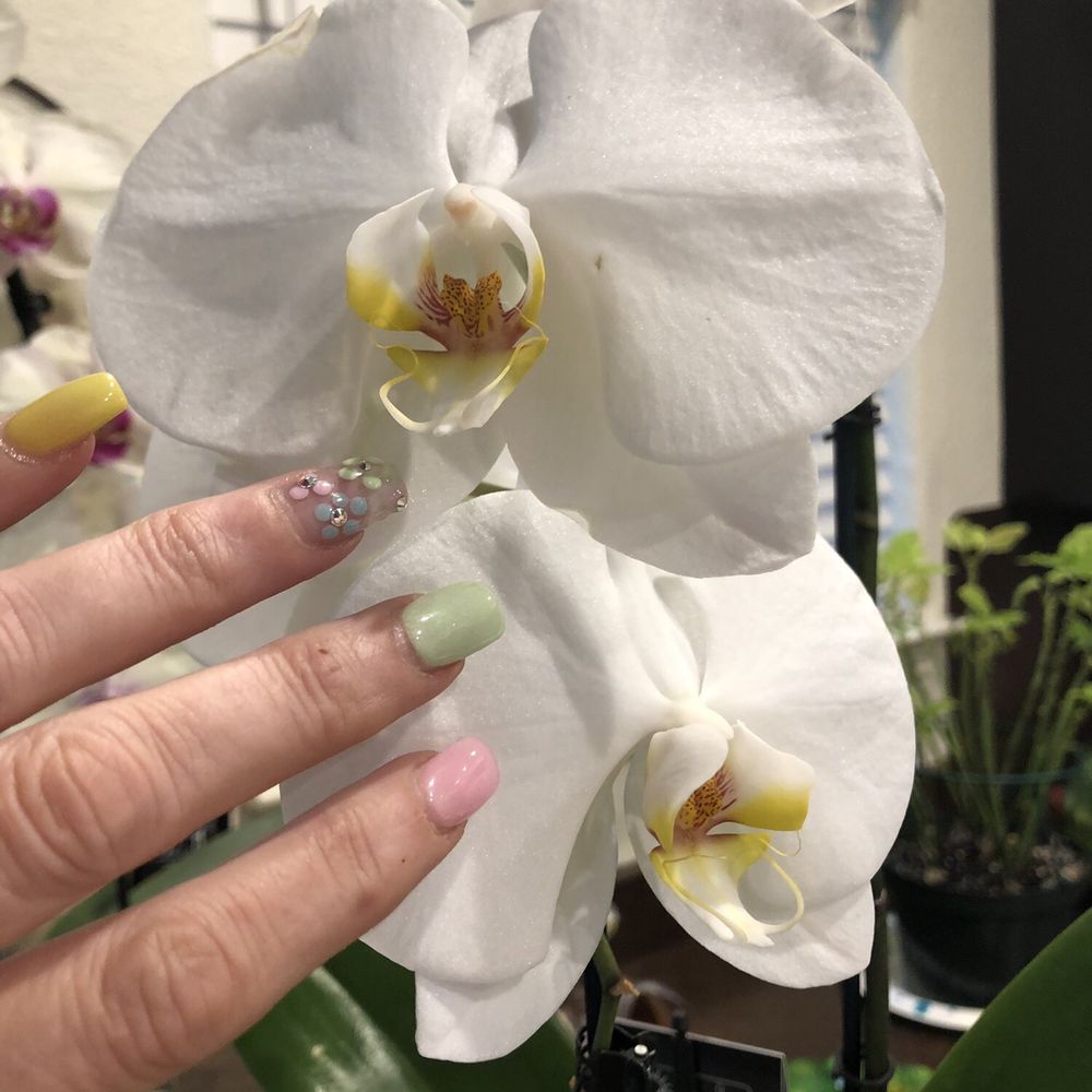Sparkle Nails - Nail Salons Near Me - Austin, Texas