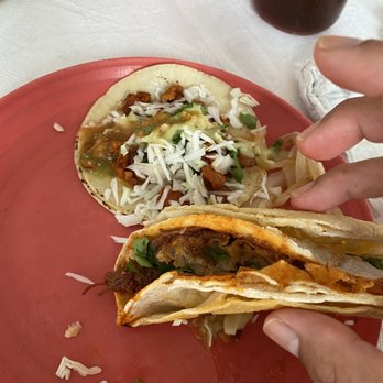 Norma's Tacos - Taco de birria and taco adobada - Tacos Near Me - Punta de Mita, NAY Norma's Tacos - Taco de birria and taco adobada - Tacos Near Me - Punta de Mita, NAY