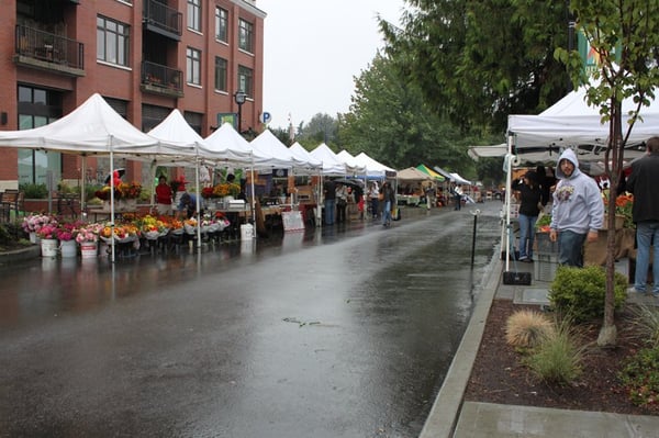 Queen Anne Farmers Market by null