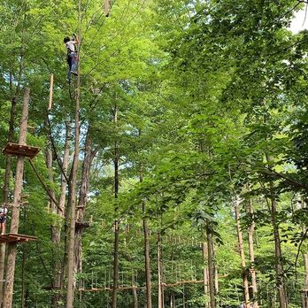 Boundless Adventures - Ziplining Near Me - Purchase, New York