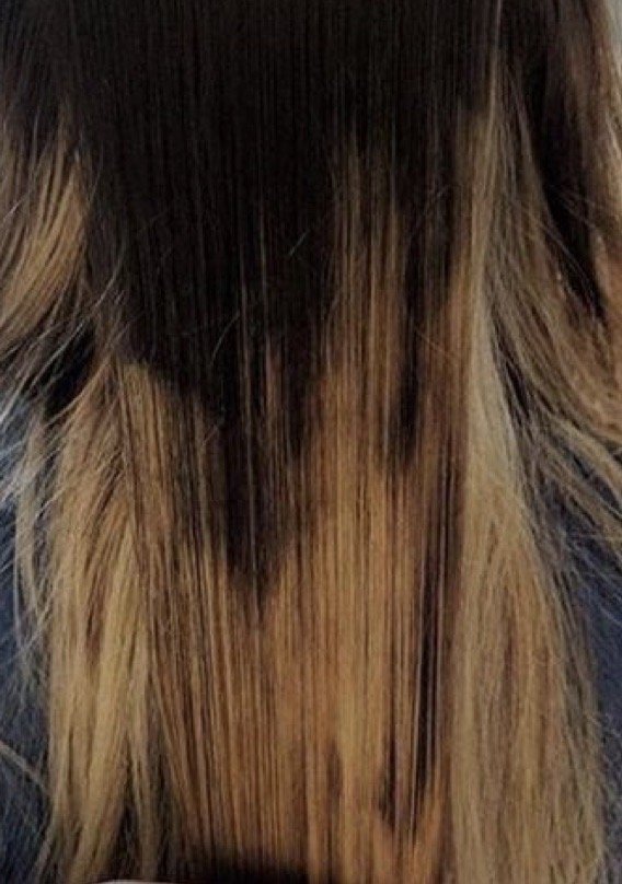 ELIDA’S STUDIO Updated September 2024 4473 Tweedy Blvd, South Gate