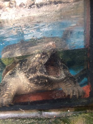 Underwater World Langkawi by null