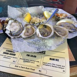 Oysters