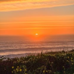 Panther Beach