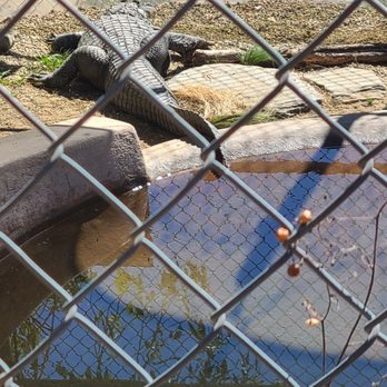 America's Teaching Zoo - Zoos Near Me - Moorpark, California