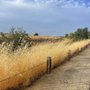 Photo of Anatolia Wetland Preserve Trail