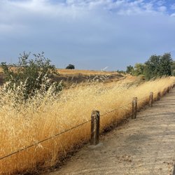 Anatolia Wetland Preserve Trail - September 24, 2025 - The color of Fall.