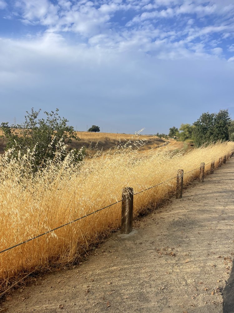 Anatolia Wetland Preserve Trail Logo