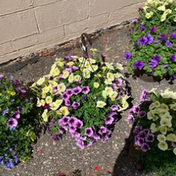 Ken's Flower Shop